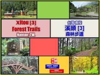 x itou 3 forest trails nantou tw