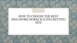 How To Choose The Best Singapore Horse Racing Betting Site