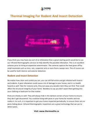 thermal imaging for rodent and insect detection