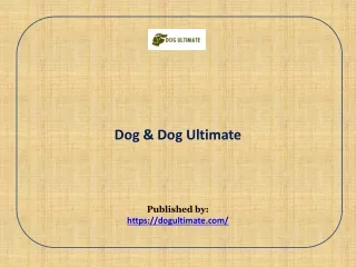 Dog & Dog Ultimate