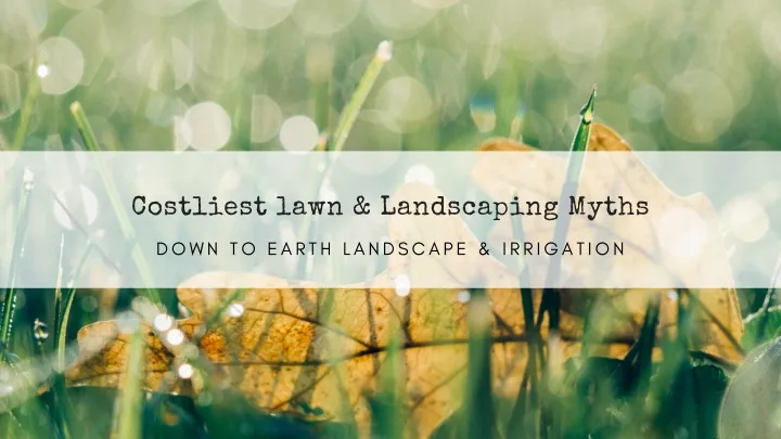 costliest lawn landscaping myths