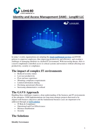 identity and access management iam long80 llc