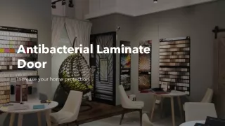 Antibacterial Laminate Main Door