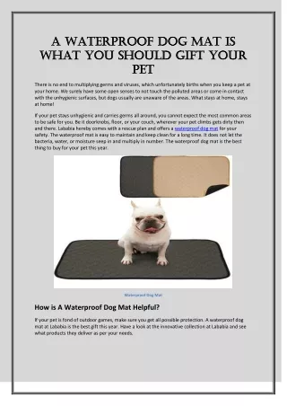 Waterproof Dog Mat is What You Should Gift Your Pet