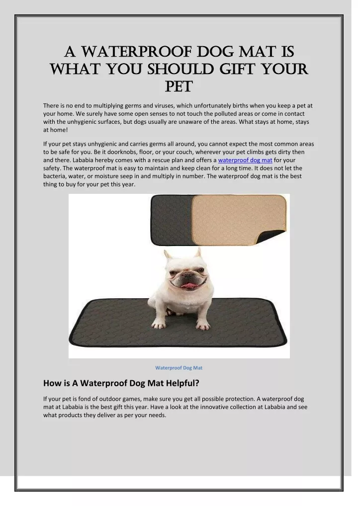 a a waterproof dog mat waterproof dog mat is what