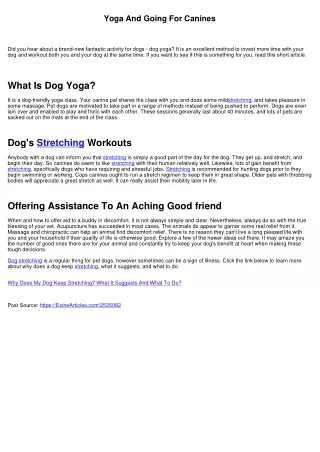 Yoga And Going For Canines