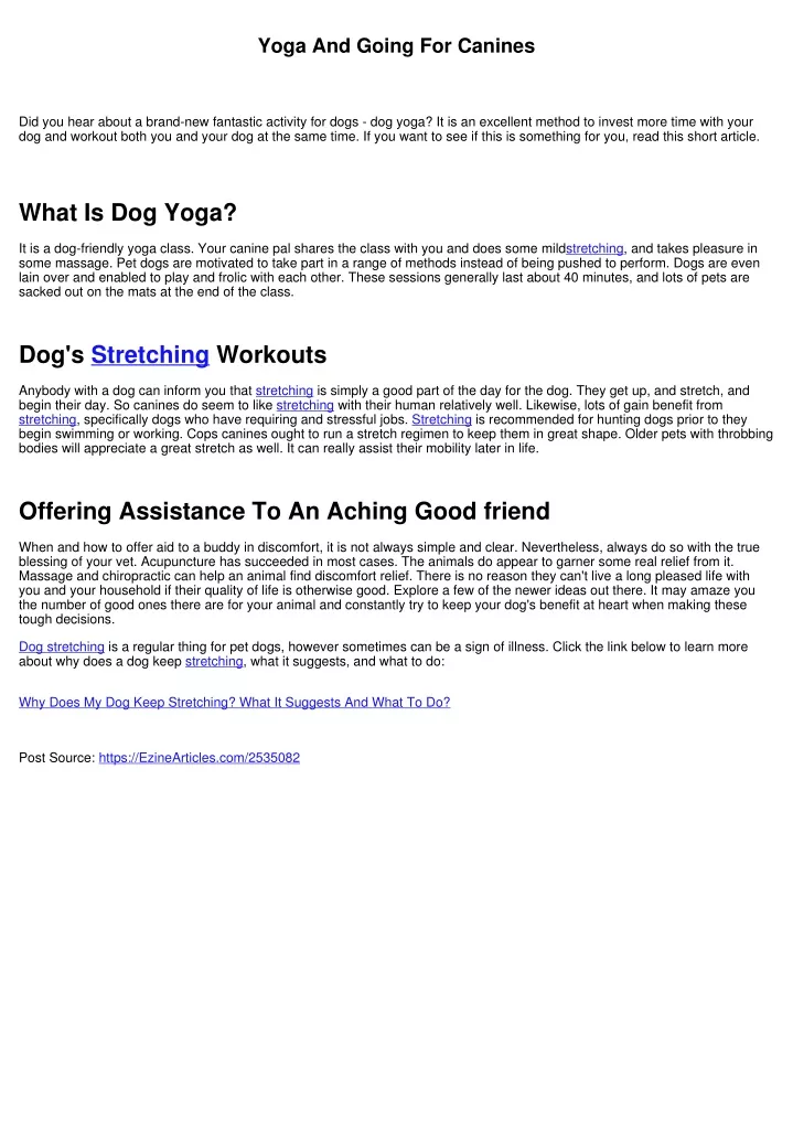 yoga and going for canines