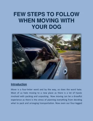 few steps to follow when moving with your dog