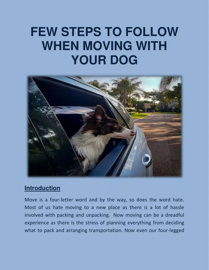 few steps to follow when moving with your dog