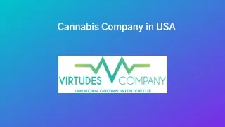 Best Cannabis Company in the USA