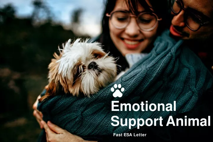 emotional support animal fast esa letter