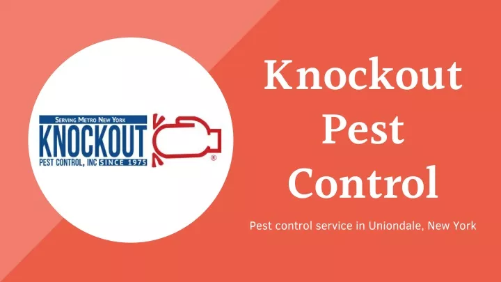 knockout pest control pest control service