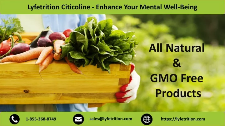 lyfetrition citicoline enhance your mental well