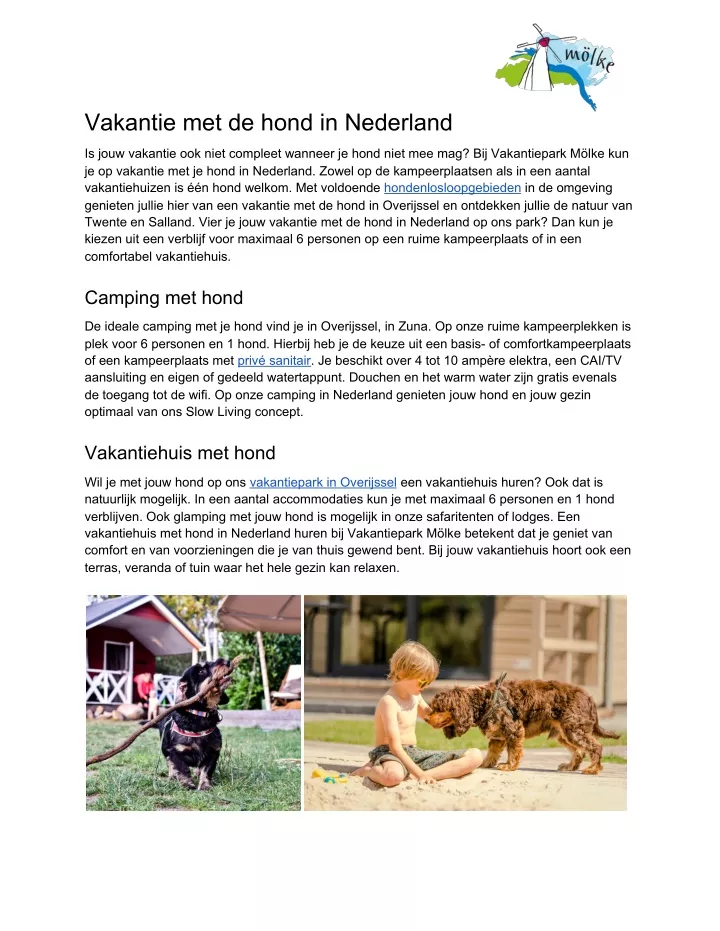 vakantie met de hond in nederland