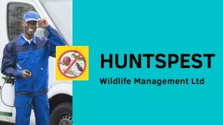 huntspest wildlife management ltd
