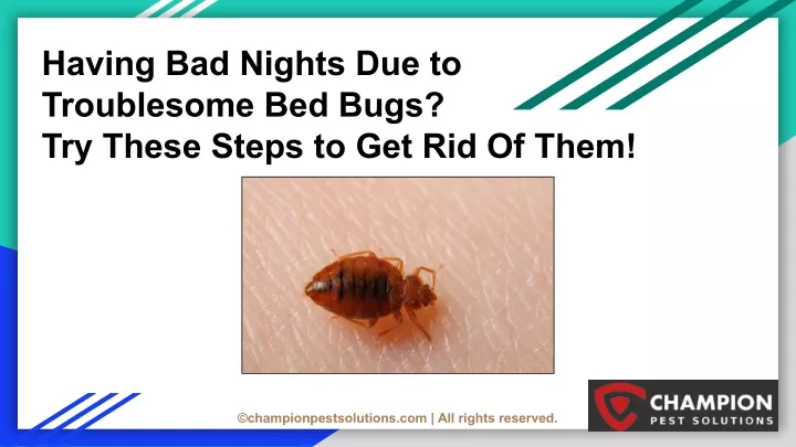 having bad nights due to troublesome bed bugs