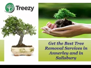 Protect Your Yard with Tree TrimmingBulimba