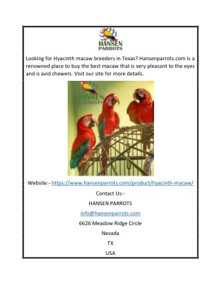 Hyacinth Macaw Breeders Texas | Hansenparrots.com
