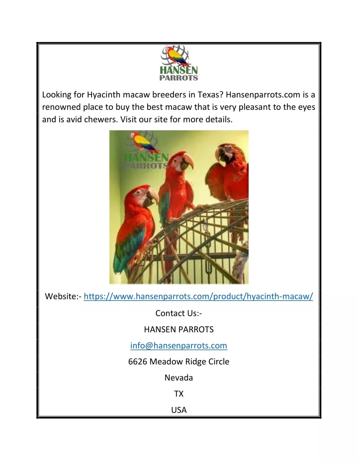 looking for hyacinth macaw breeders in texas