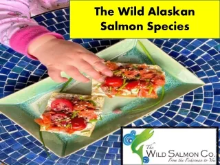 The Wild Alaskan Salmon Species