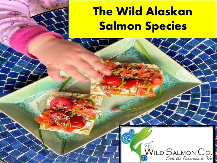 the wild alaskan salmon species