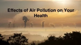 Reduce the Effects of Air Pollution on Your Health