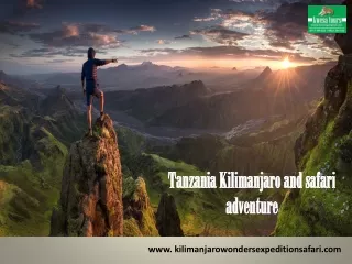 Tanzania Kilimanjaro And Safari Adventure
