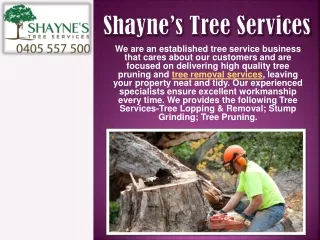 Stump Removal Services in Mandurah- Shayne's Tree Services
