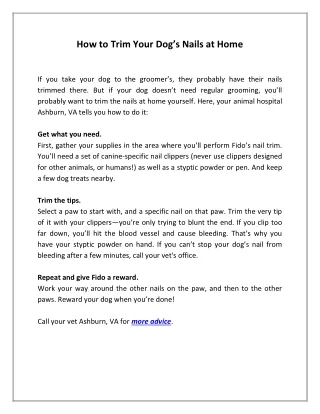 how to trim your dog s nails at home