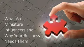 what are miniature influencers and why your