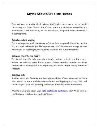 myths about our feline friends
