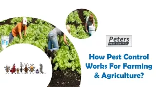 How Pest Control Works For Farming & Agriculture? | Pest Control Knowledge