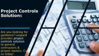 Project Controls Solutions