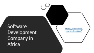 software development company in africa