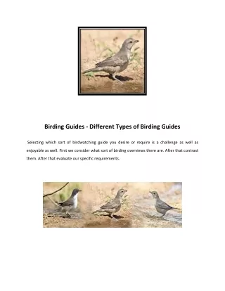 Birdwatching Tours in Kuwait - Birding Holidays - Bird Guiding