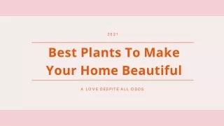 Best plants to make your home beautiful