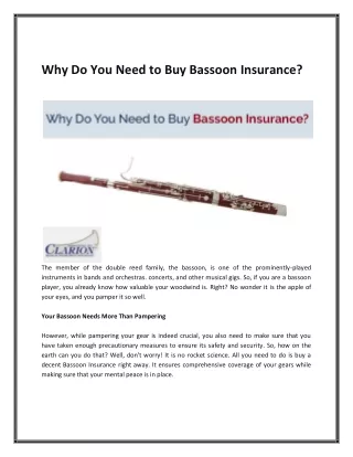 Why Do You Need to Buy Bassoon Insurance?