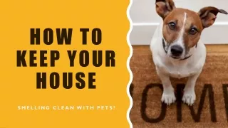 how to keep your house
