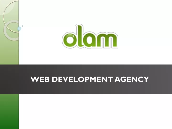 web development agency