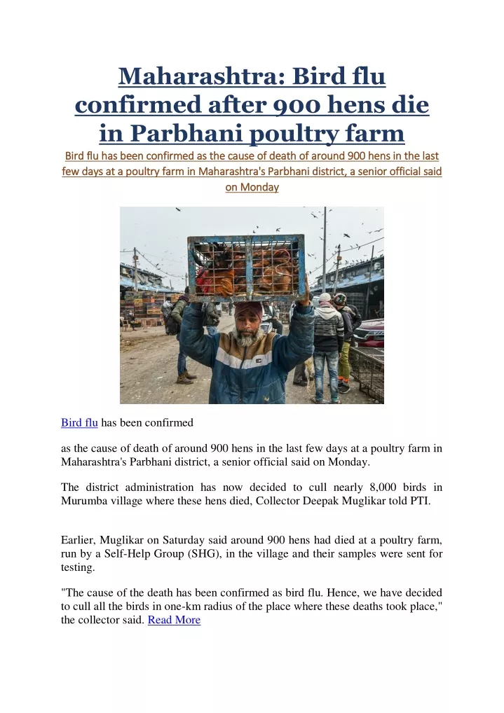 maharashtra bird flu confirmed after 900 hens