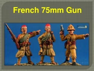 French 75mm Gun