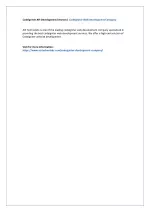 Codeigniter API Development Services | Codeigniter Web Development Company - slide 1