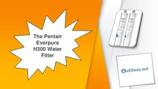 The pentair everpure h300 water filter