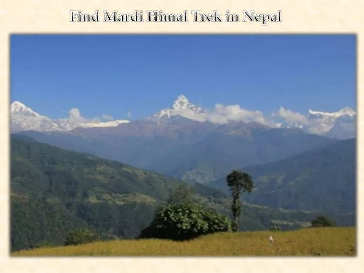 find mardi himal trek in nepal