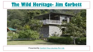 Luxury Accommodation in Jim Corbett | Best Adventure Resort in Jim Corbett | The Wild Heritage Resort Jim Corbett