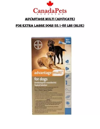 Advantage Multi (Advocate) For Extra Large Dogs 55.1-88 lbs (Blue) - PDF - CanadaPetsSupplies