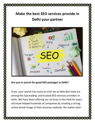 Make the best SEO services provide in Delhi your partner