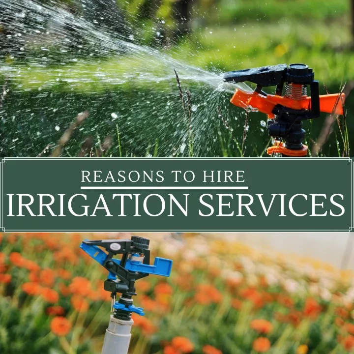 reasons to hire