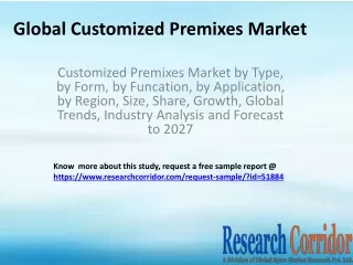 global customized premixes market