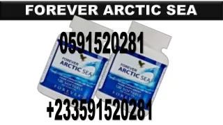 forever arctic sea